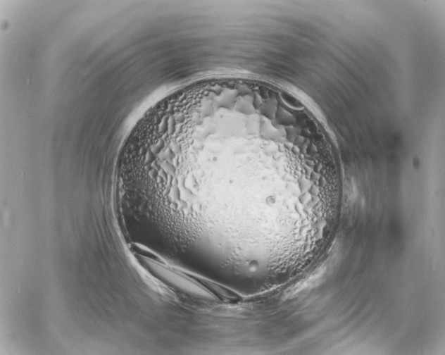 X0000060751245200511141150