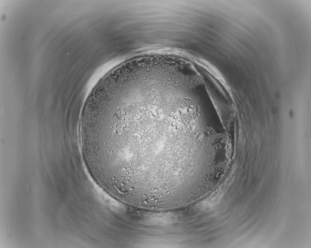 X0000060751247200511141150