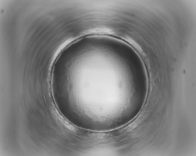 X0000060751248200511141151