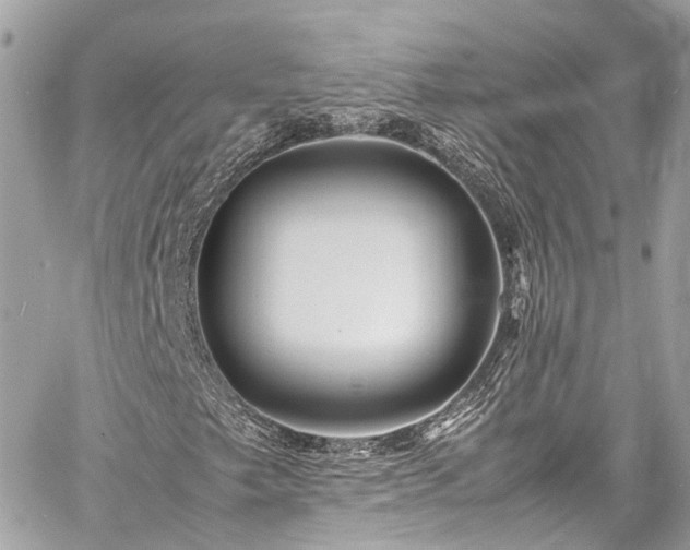 X0000060751249200511141150