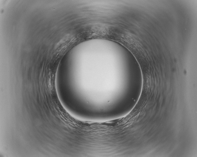 X0000060751250200511141150