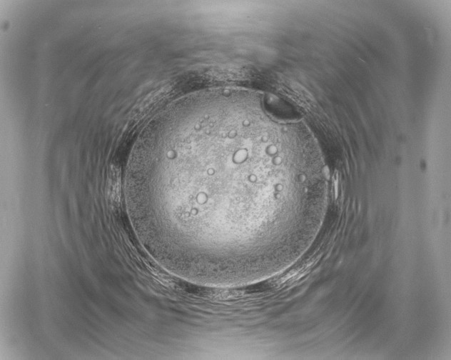 X0000060751251200511141150