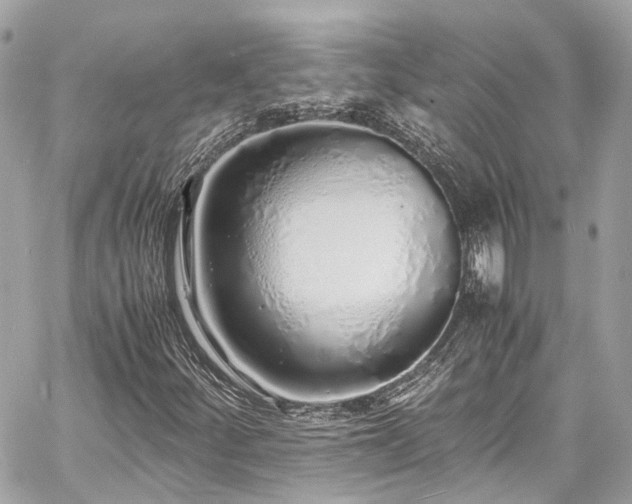 X0000060751252200511141150