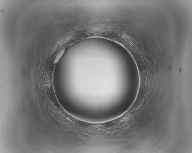 X0000060751253200511141150