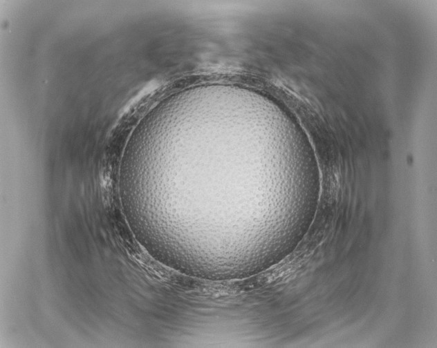 X0000060751254200511141150