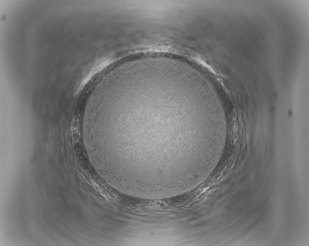 X0000060751255200511141150