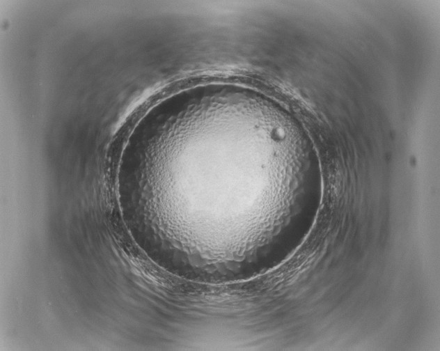 X0000060751256200511141150