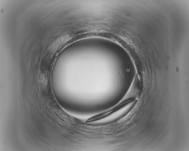 X0000060751257200511141150