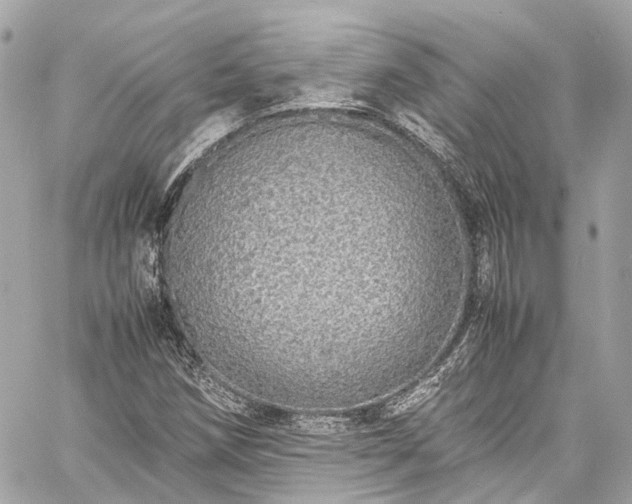 X0000060751258200511141150