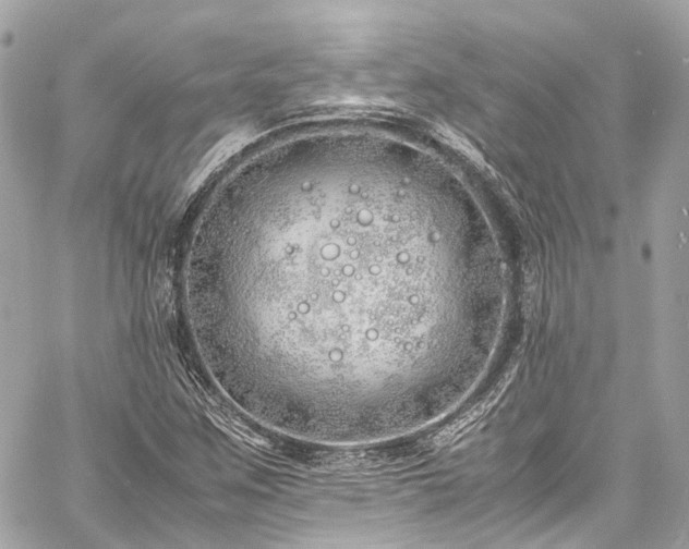 X0000060751259200511141150