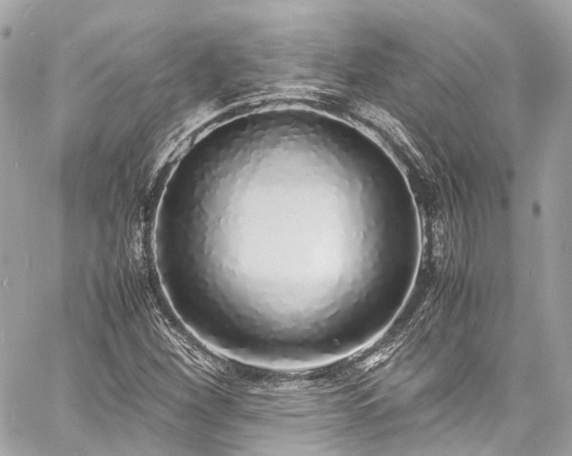 X0000060751260200511141150