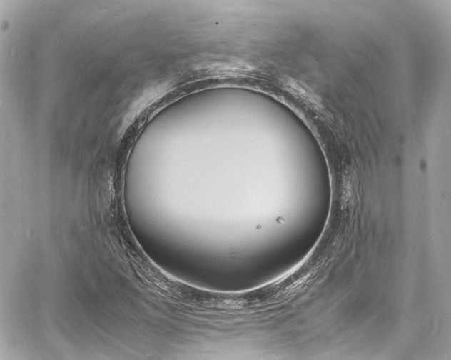 X0000060751261200511141150