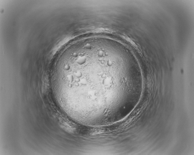 X0000060751263200511141149