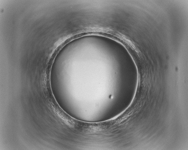 X0000060751264200511141149