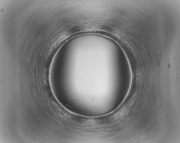 X0000060751265200511141149