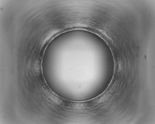 X0000060751266200511141149