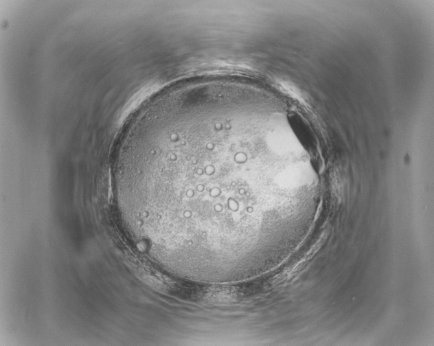 X0000060751267200511141149