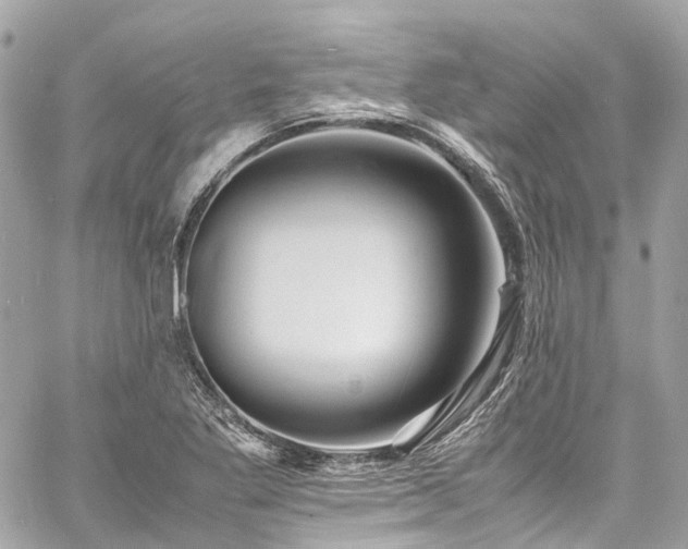 X0000060751269200511141149