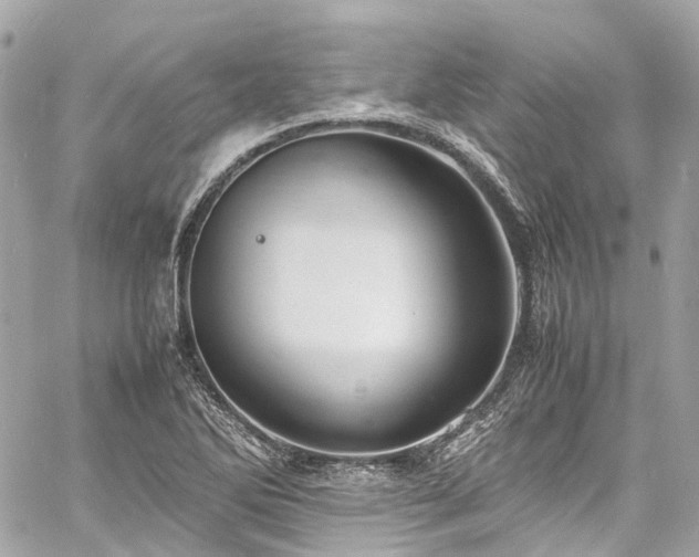 X0000060751270200511141149