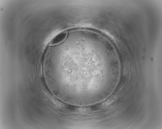 X0000060751271200511141149