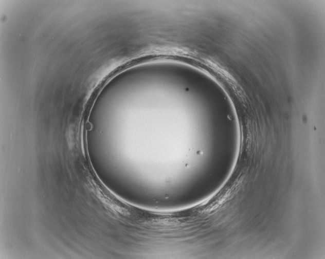 X0000060751272200511141149