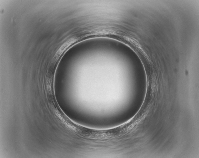 X0000060751273200511141149