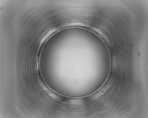 X0000060751274200511141149