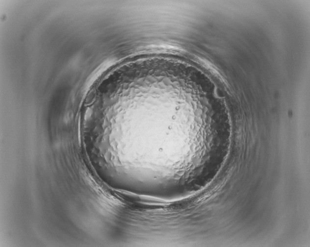 X0000060751275200511141149