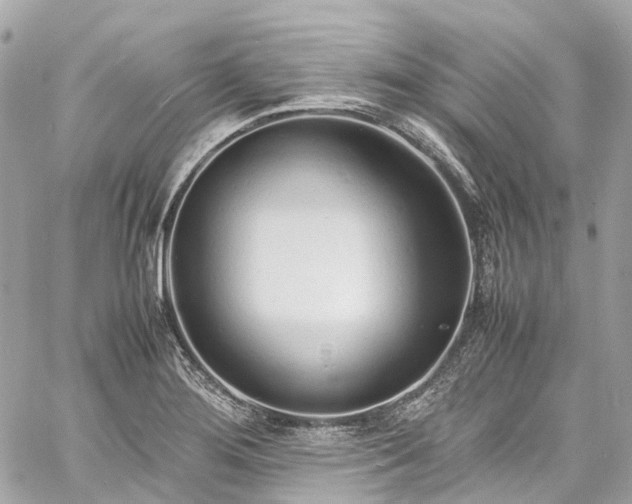 X0000060751276200511141149