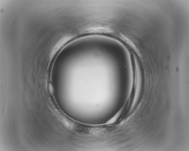 X0000060751277200511141149