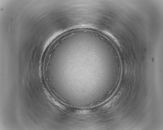 X0000060751278200511141149