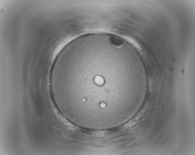 X0000060751279200511141149