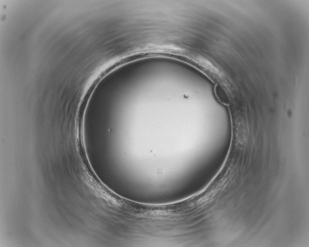 X0000060751280200511141149