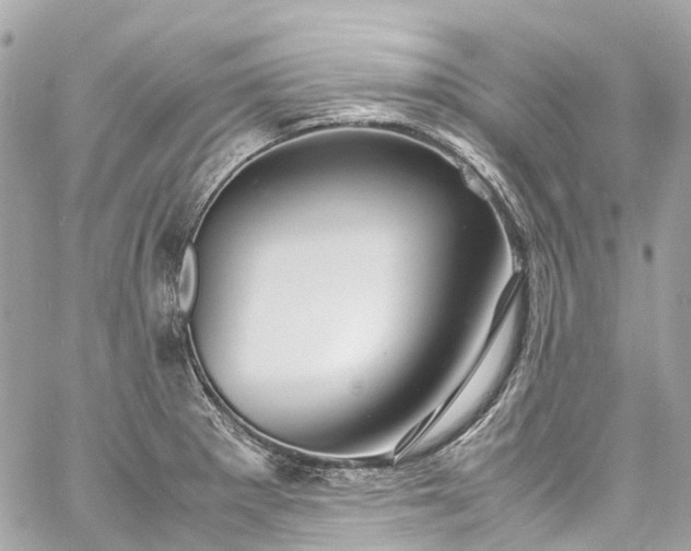 X0000060751281200511141149