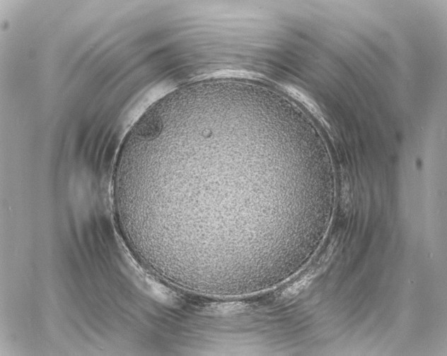 X0000060751282200511141149