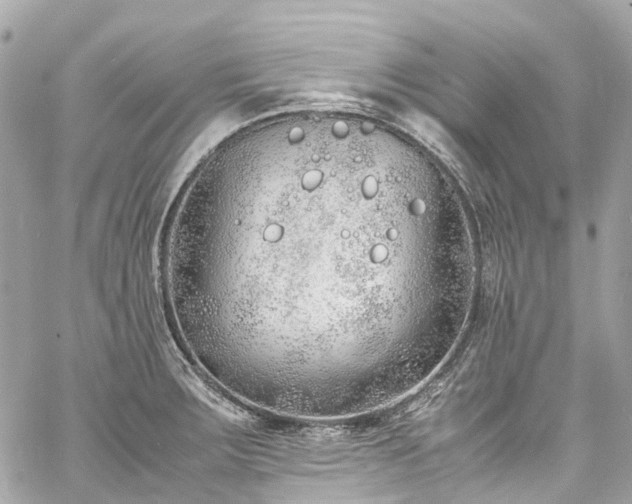 X0000060751283200511141149