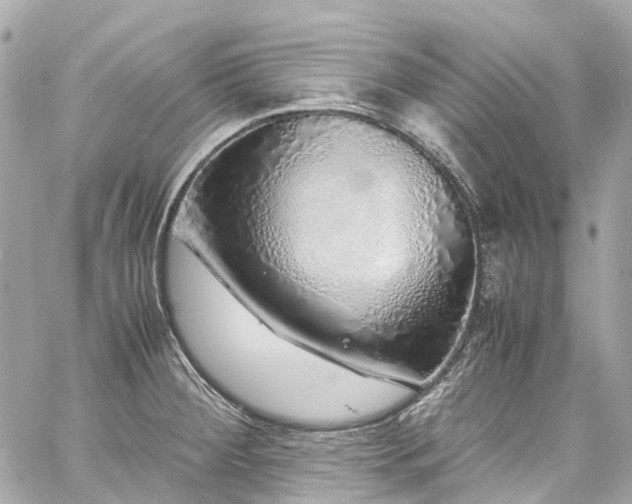 X0000060751284200511141149