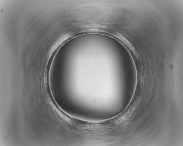 X0000060751285200511141149