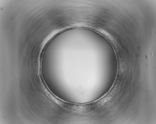 X0000060751286200511141149