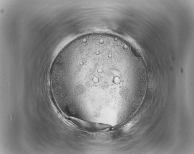 X0000060751287200511141149