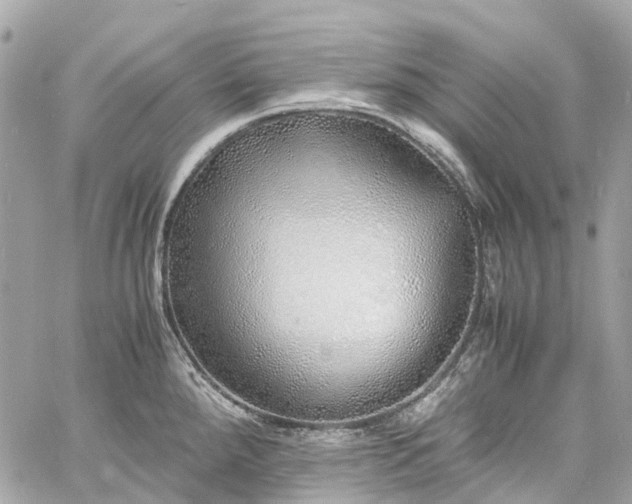 X0000060751288200511141149