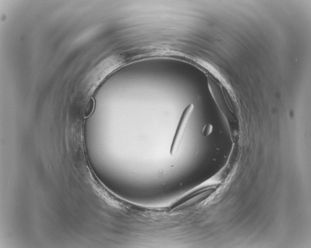 X0000060751289200511141149