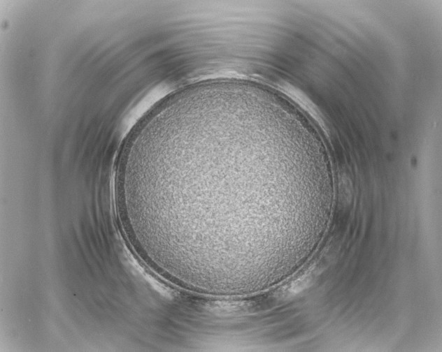 X0000060751290200511141149