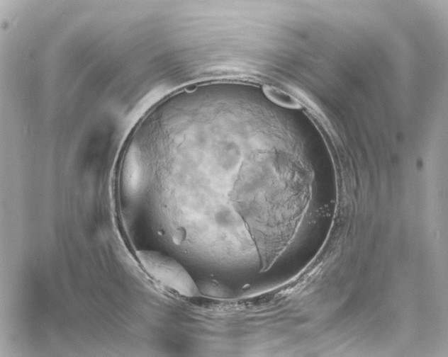 X0000060751291200511141149