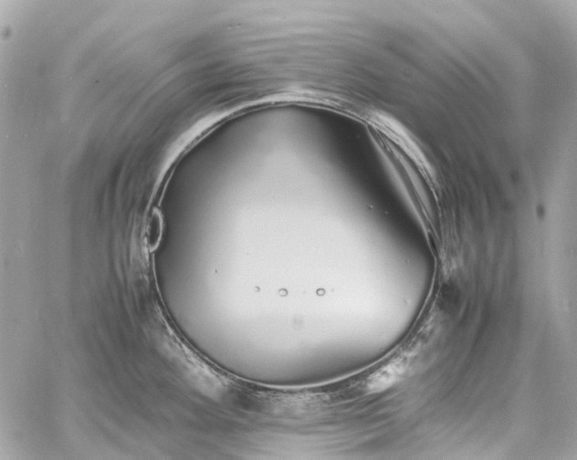 X0000060751292200511141149