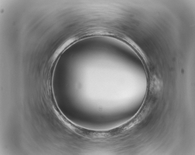 X0000060751293200511141149