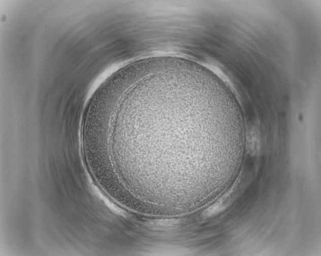 X0000060751294200511141149