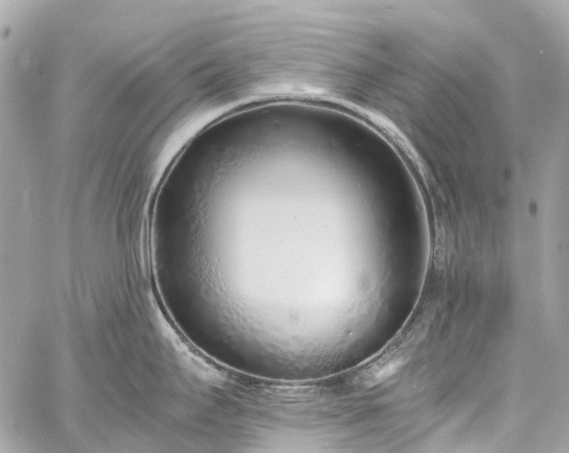 X0000060751295200511141149