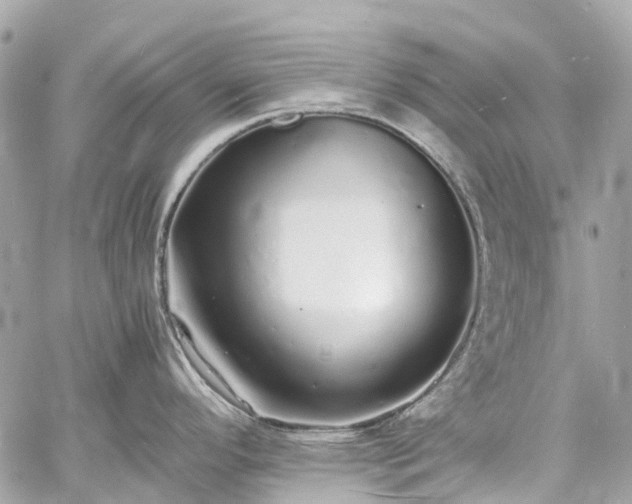 X0000060751296200511141149