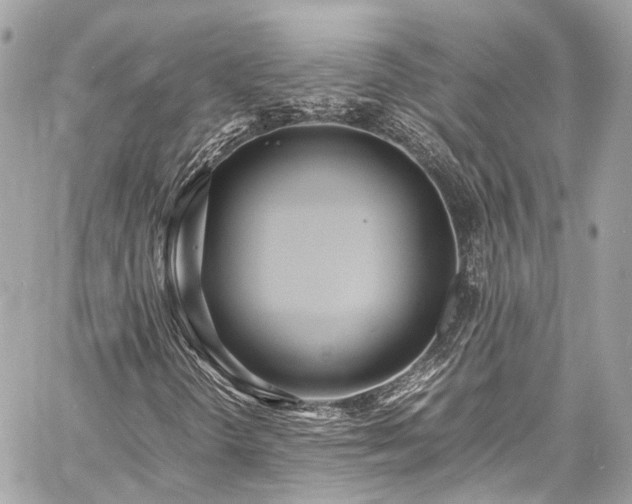 X0000060751298200511141148